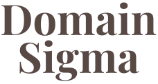 DomainSigma Logo